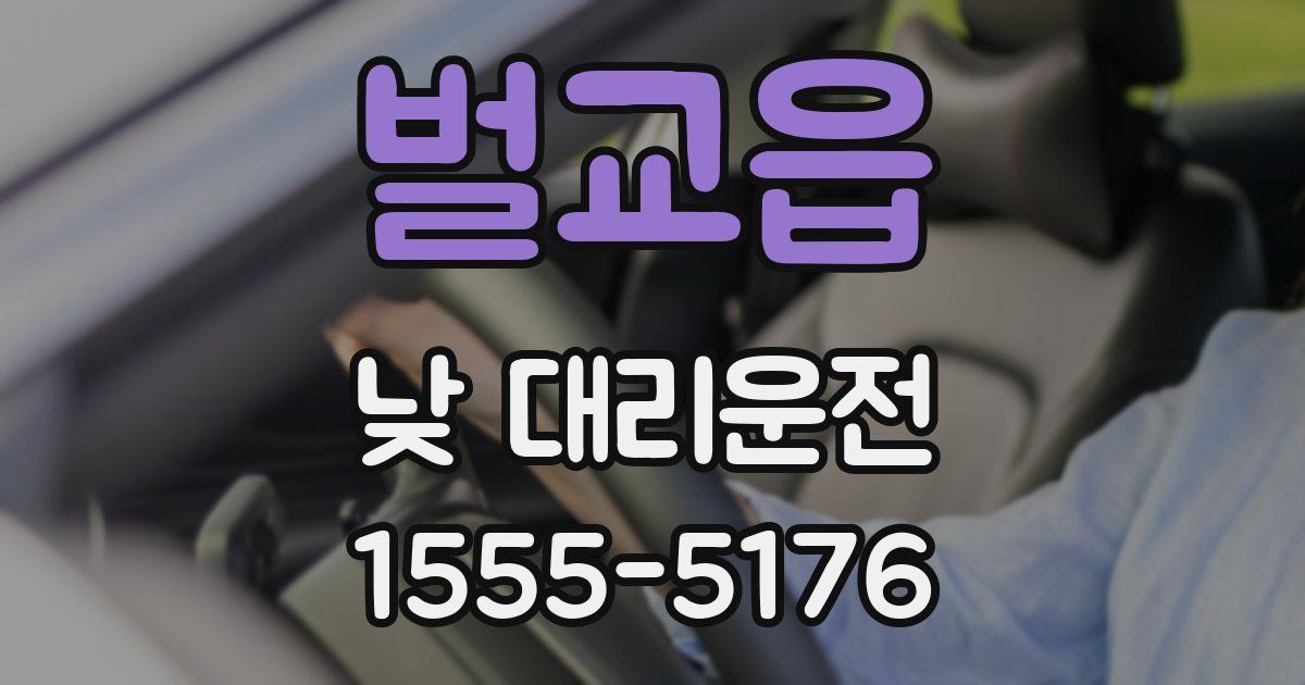 벌교읍 낮 대리운전