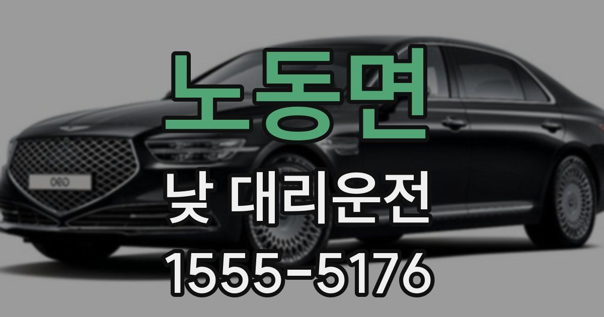 노동면 낮 대리운전