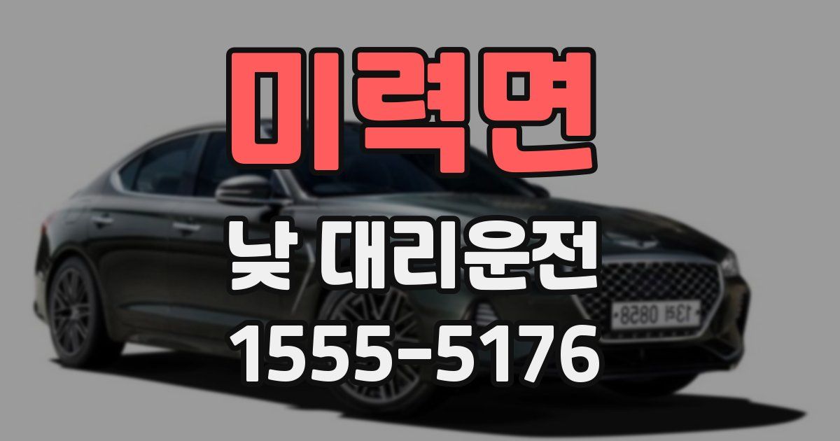 미력면 낮 대리운전