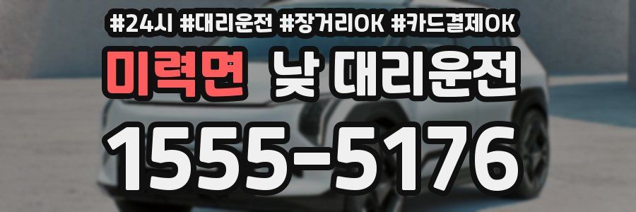 미력면 낮 대리운전