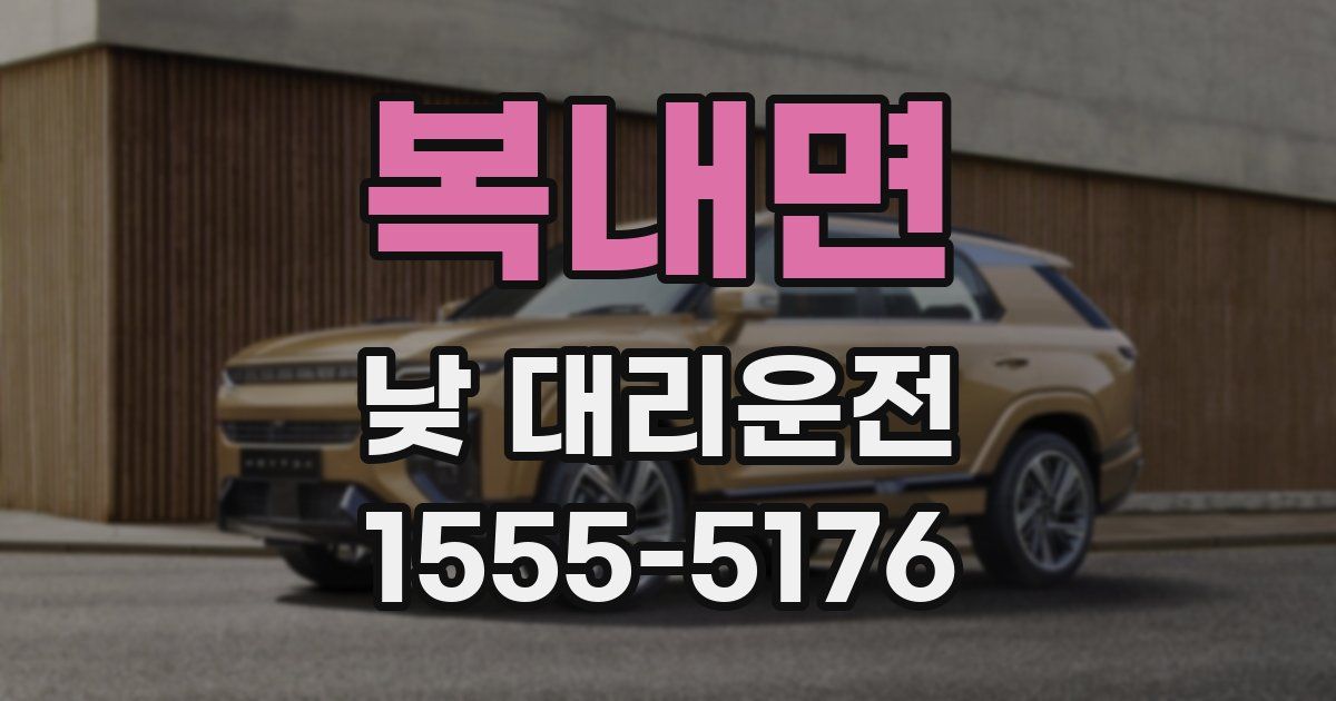 복내면 낮 대리운전