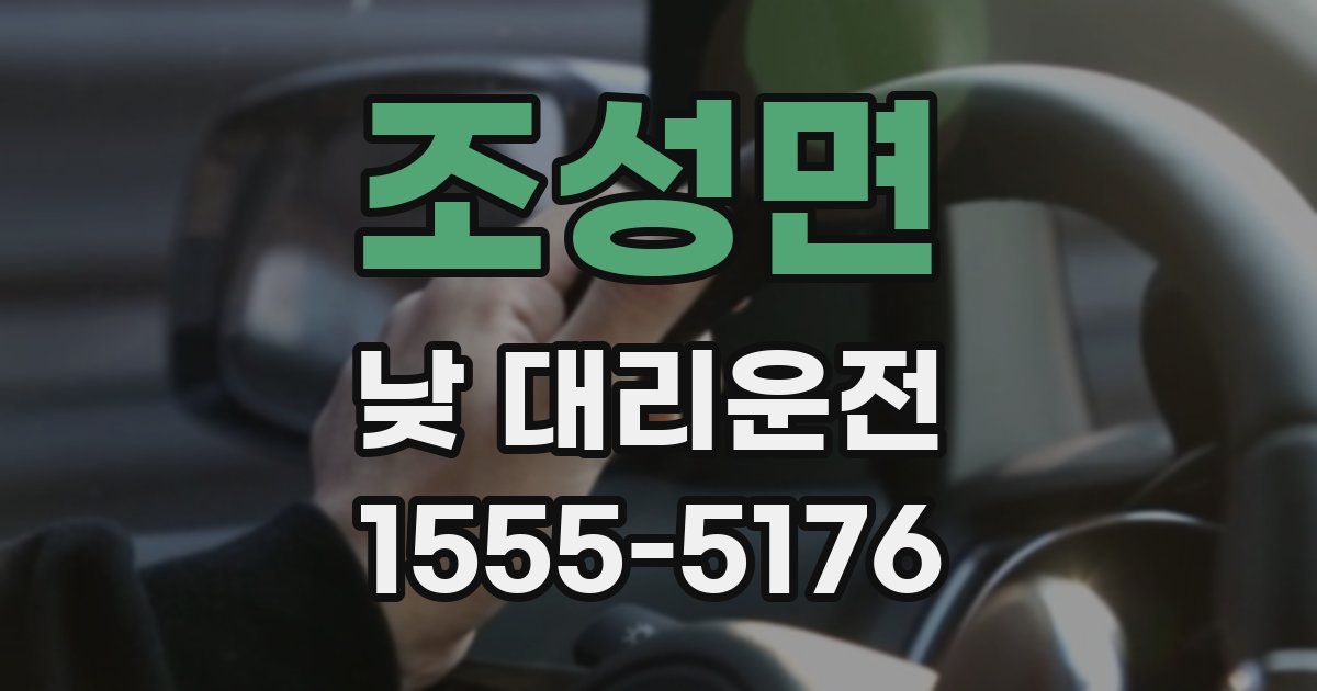 조성면 낮 대리운전