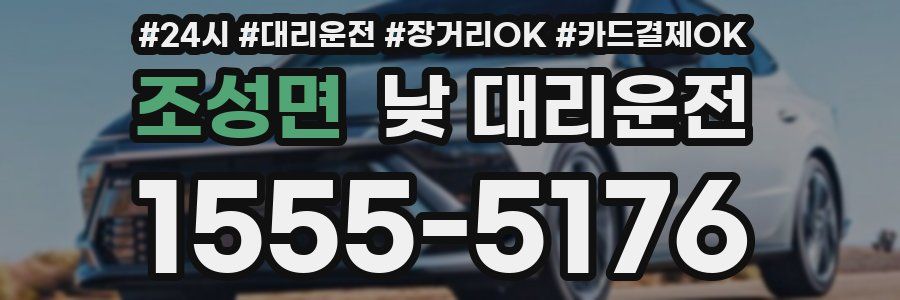 조성면 낮 대리운전