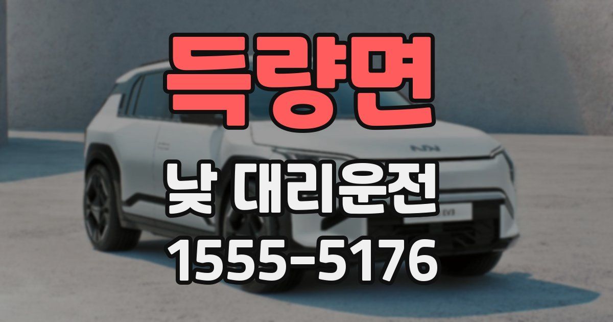 득량면 낮 대리운전