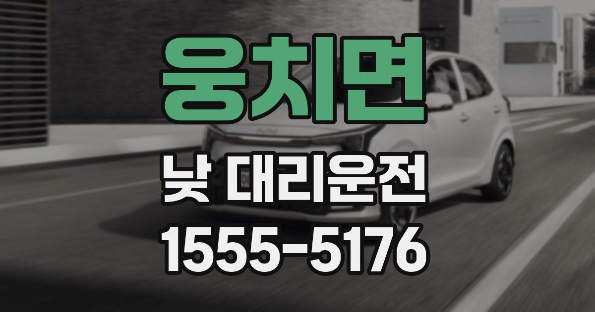 웅치면 낮 대리운전