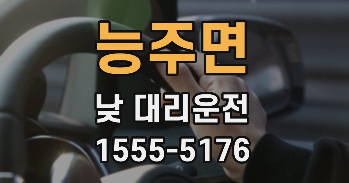 능주면 낮 대리운전