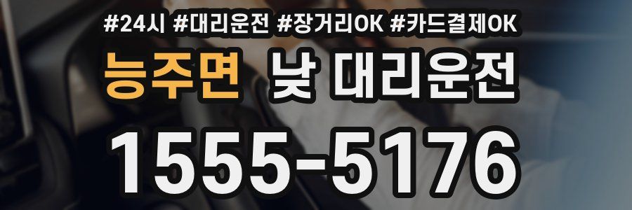 능주면 낮 대리운전