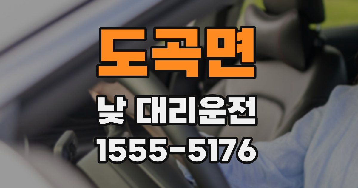 도곡면 낮 대리운전