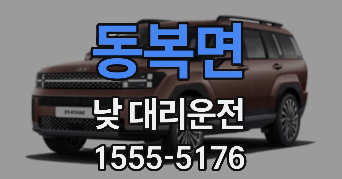 동복면 낮 대리운전