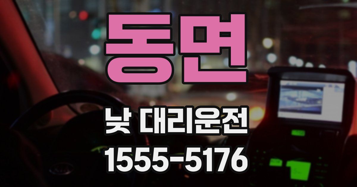 동면 낮 대리운전