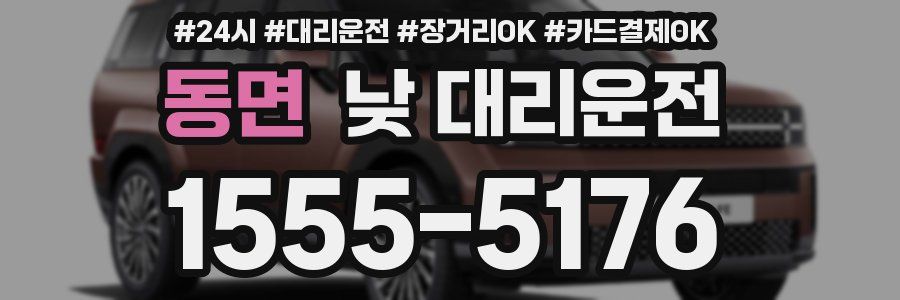 동면 낮 대리운전