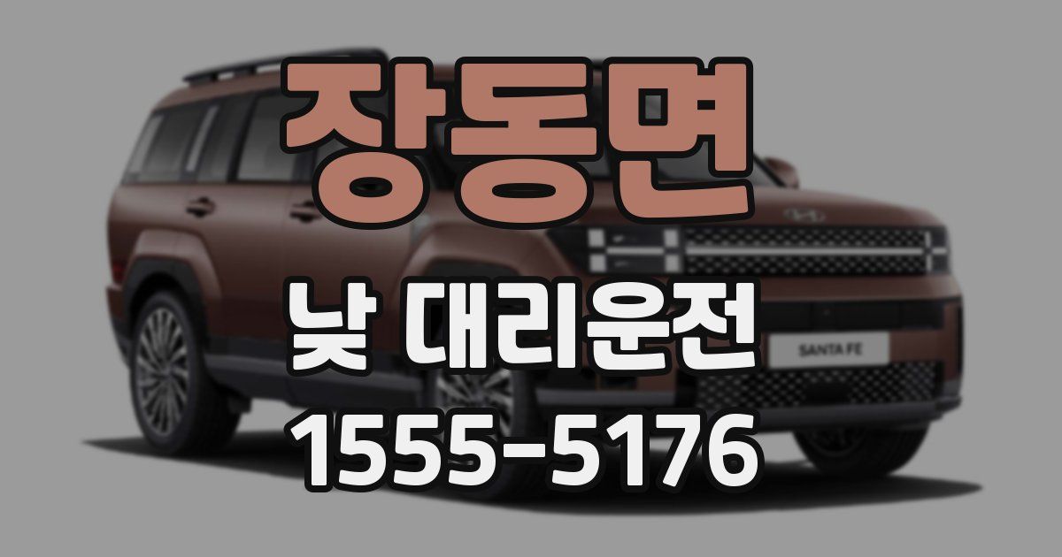 장동면 낮 대리운전