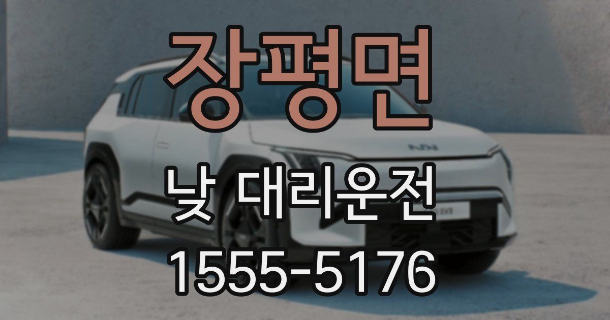 장평면 낮 대리운전