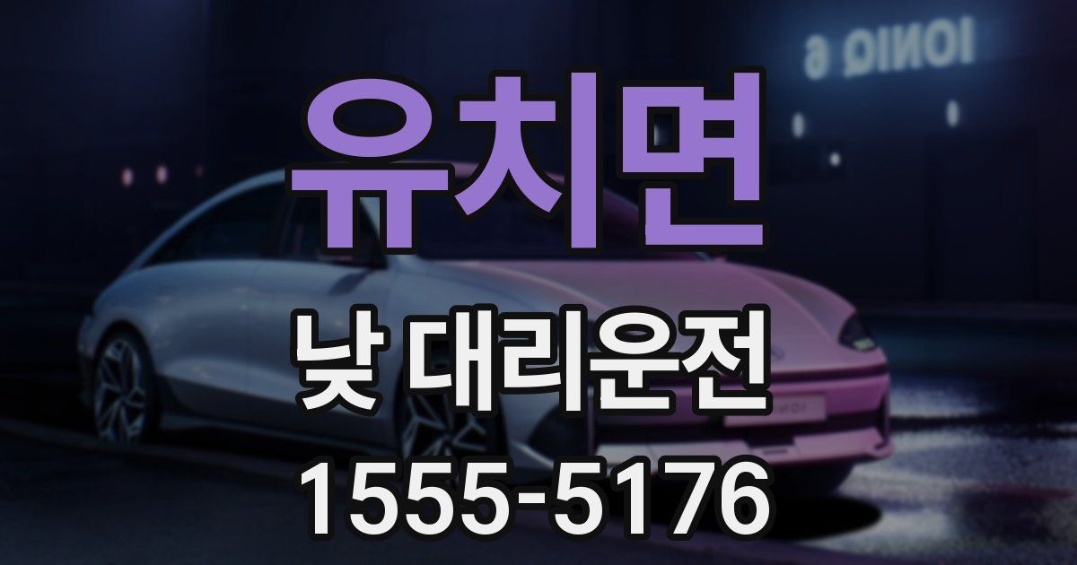 유치면 낮 대리운전