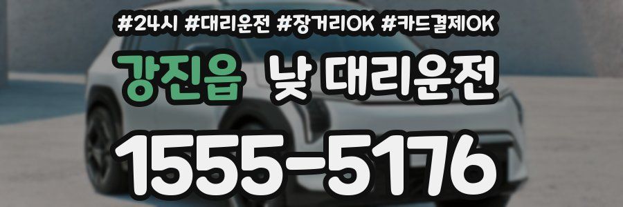 강진읍 낮 대리운전