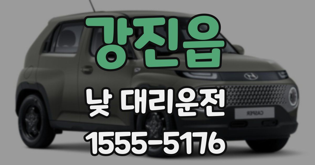 강진읍 낮 대리운전