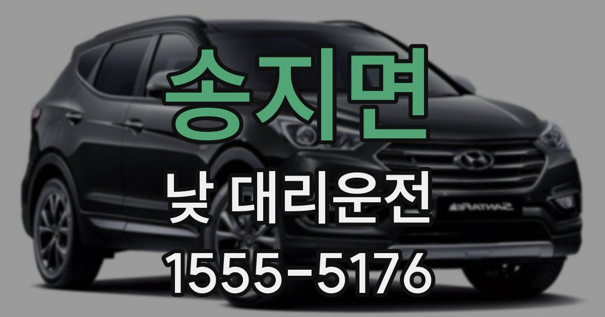송지면 낮 대리운전