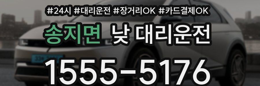 송지면 낮 대리운전