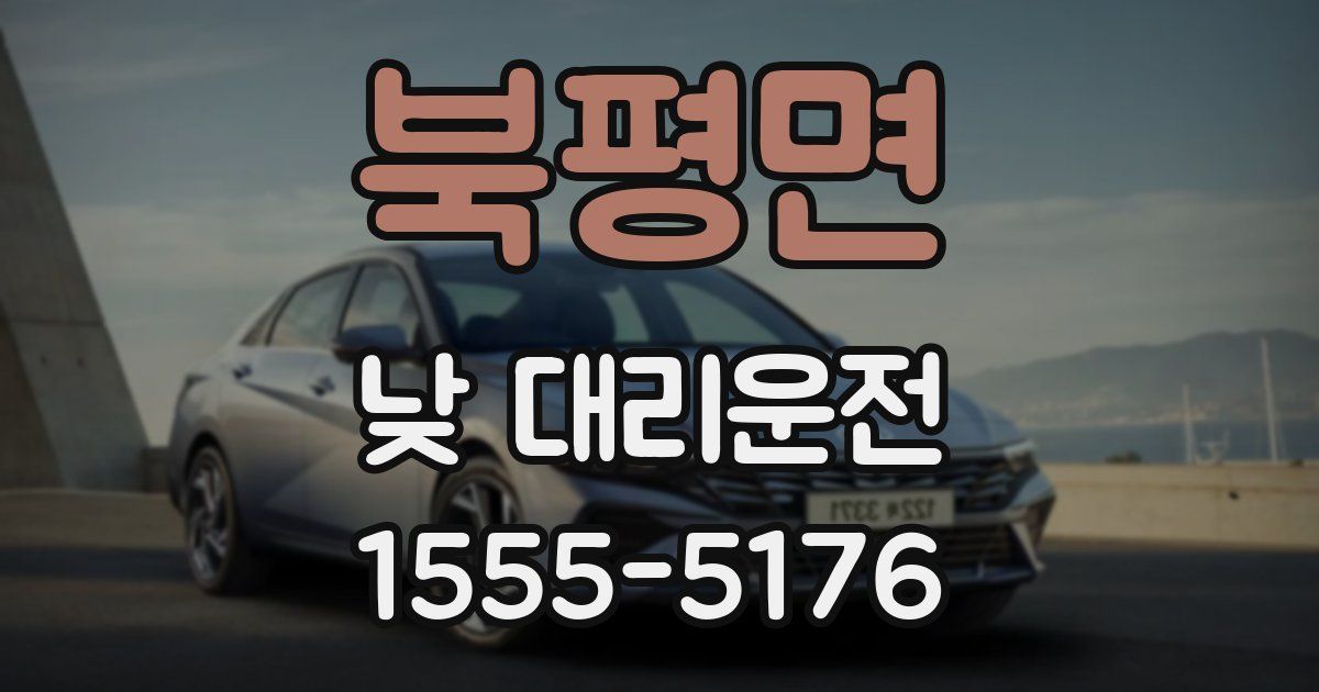 북평면 낮 대리운전