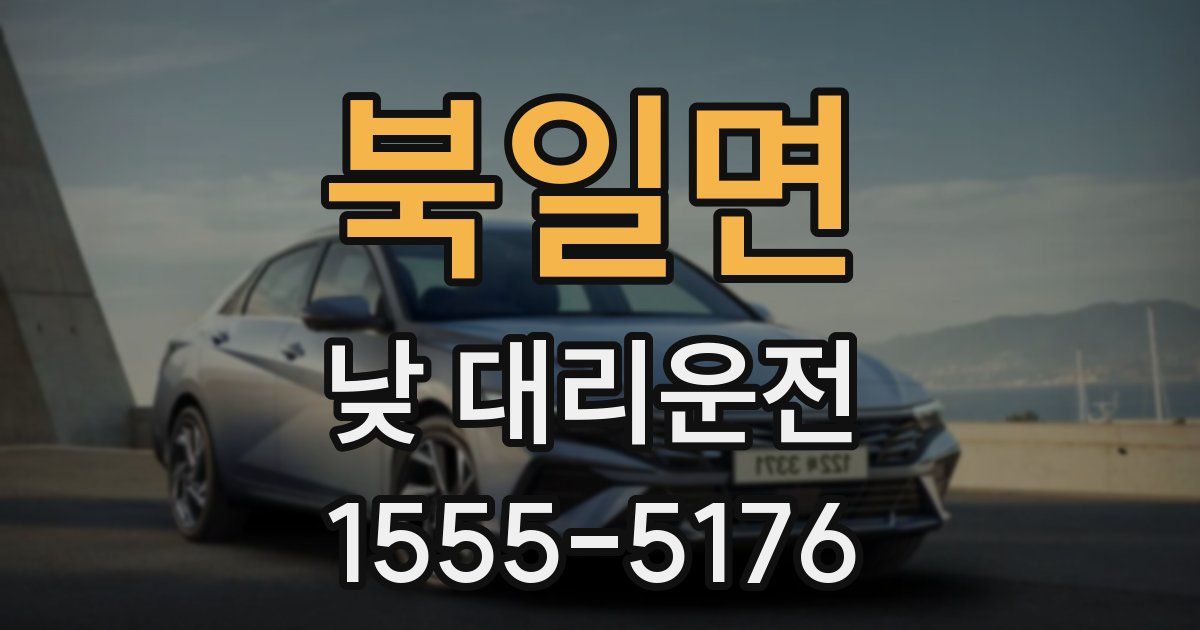 북일면 낮 대리운전