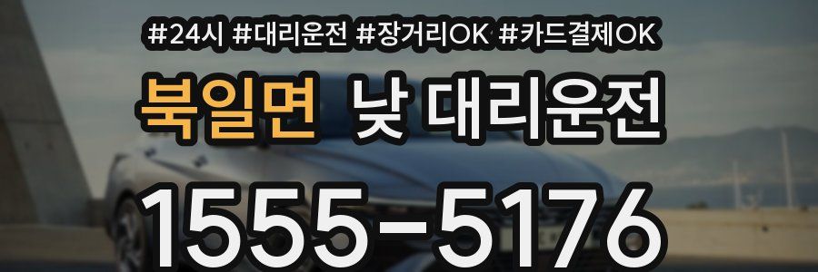 북일면 낮 대리운전