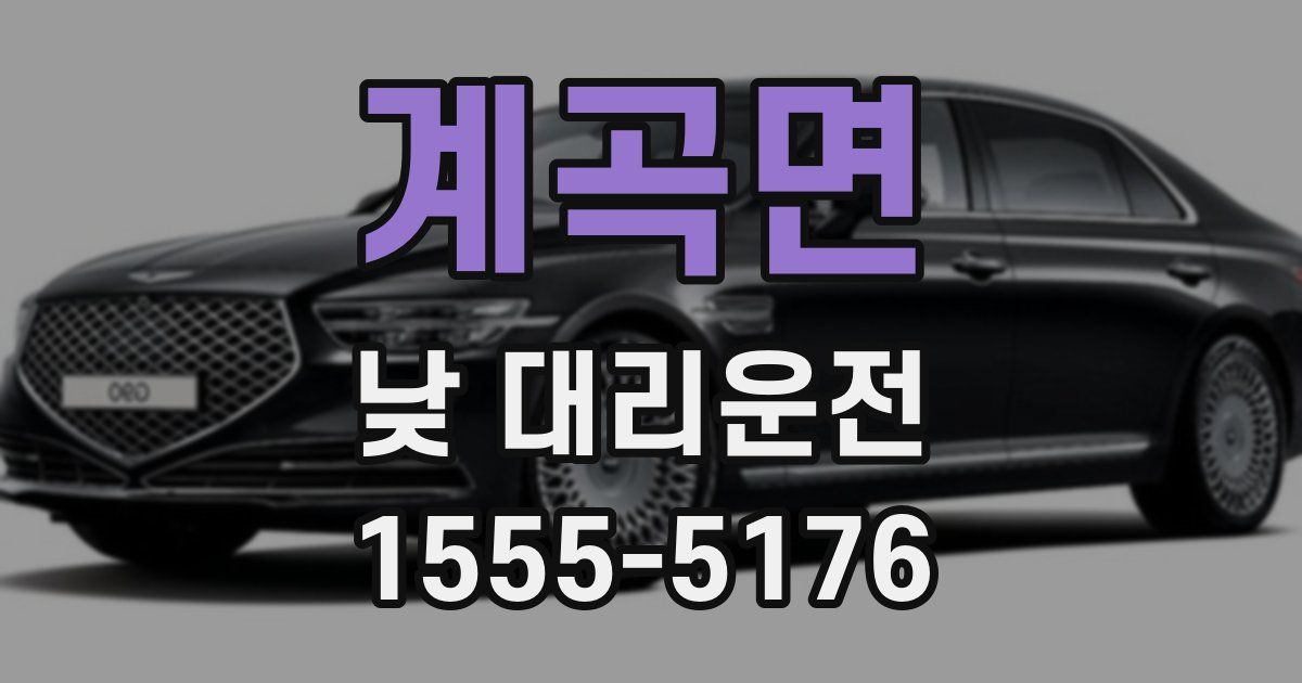 계곡면 낮 대리운전