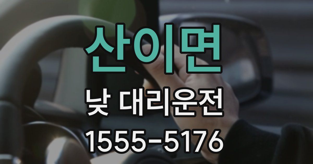 산이면 낮 대리운전