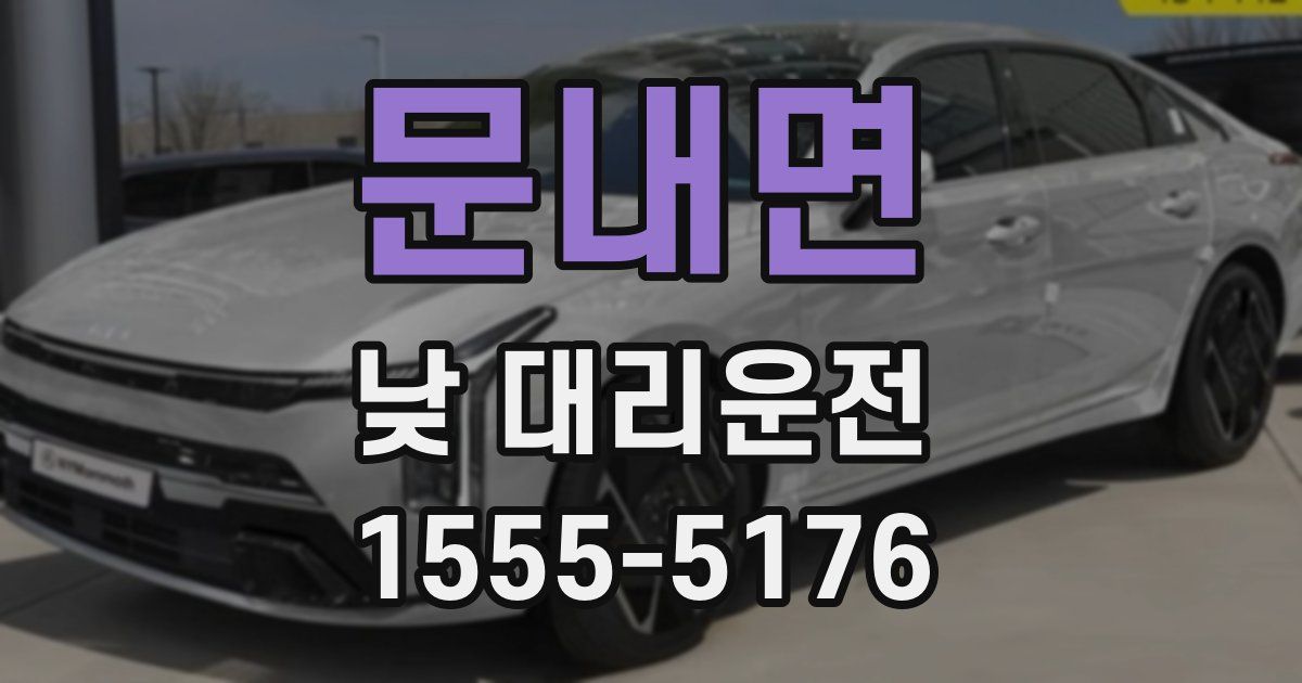 문내면 낮 대리운전