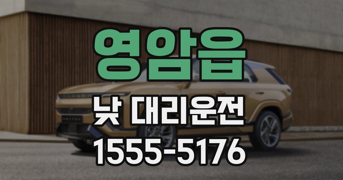 영암읍 낮 대리운전