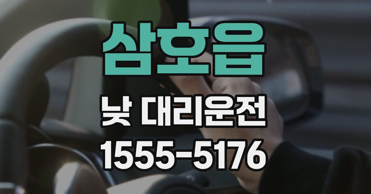 삼호읍 낮 대리운전
