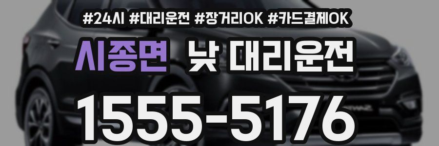 시종면 낮 대리운전