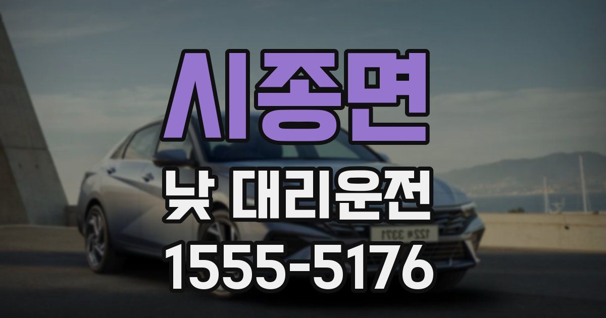 시종면 낮 대리운전