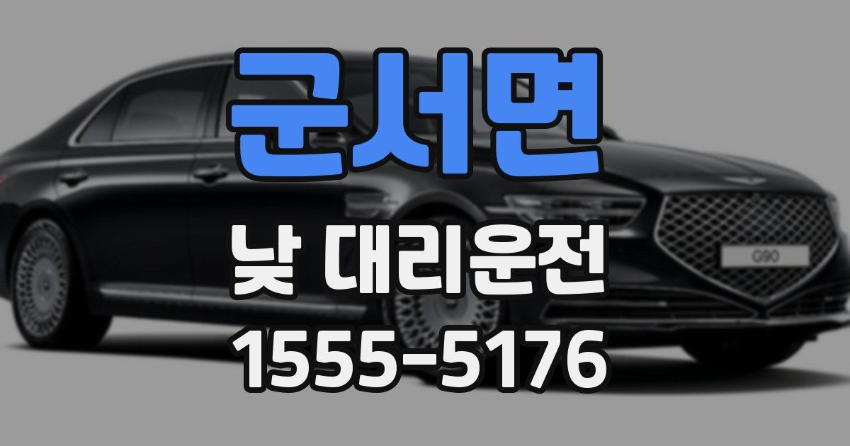군서면 낮 대리운전