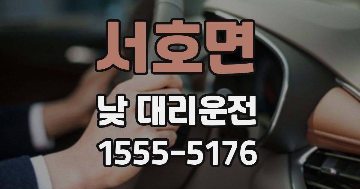 서호면 낮 대리운전