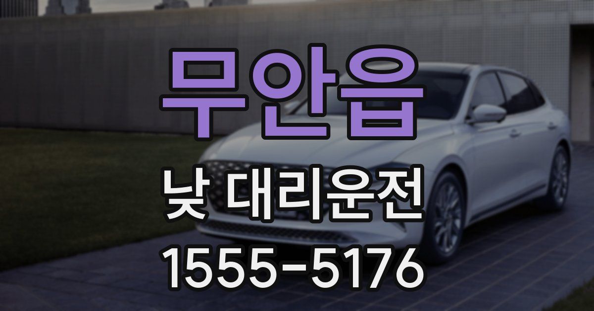 무안읍 낮 대리운전