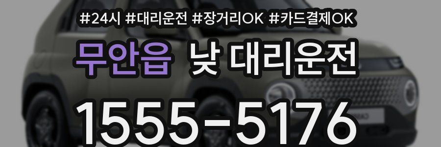 무안읍 낮 대리운전