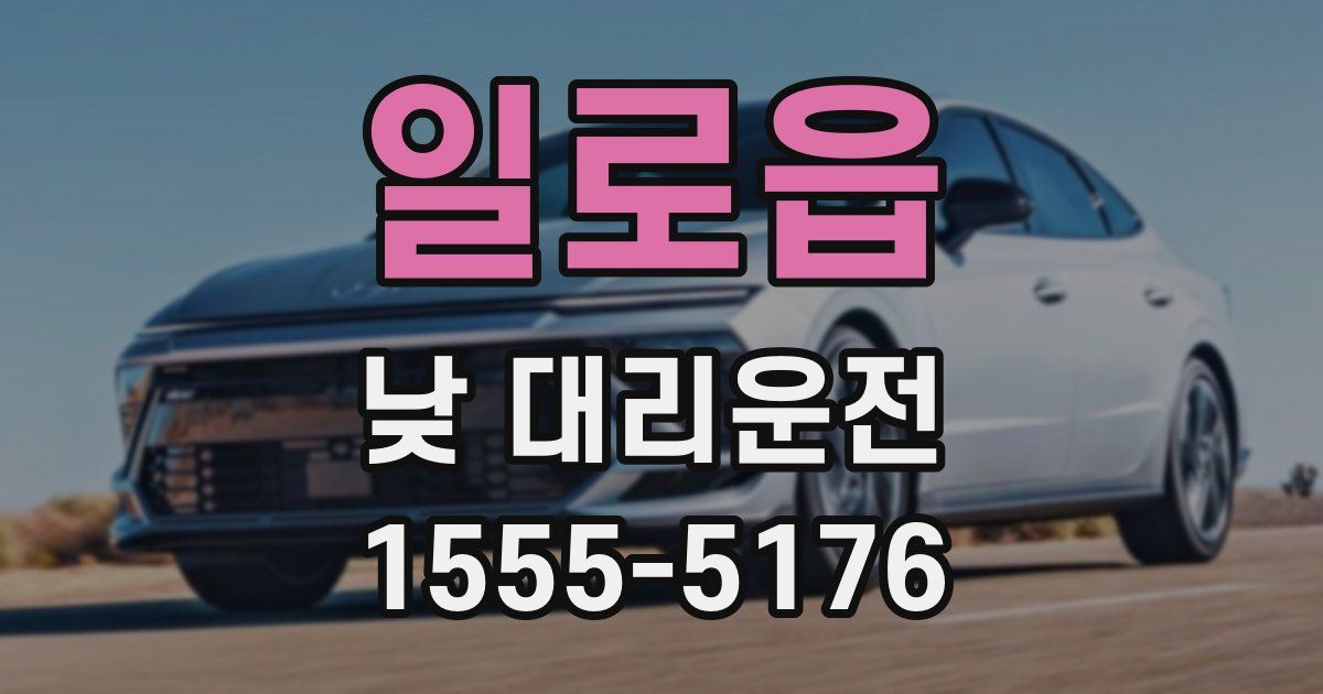 일로읍 낮 대리운전