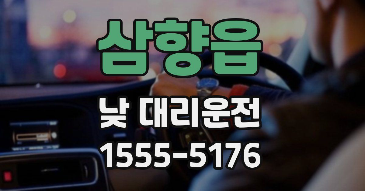 삼향읍 낮 대리운전