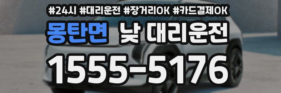 몽탄면 낮 대리운전