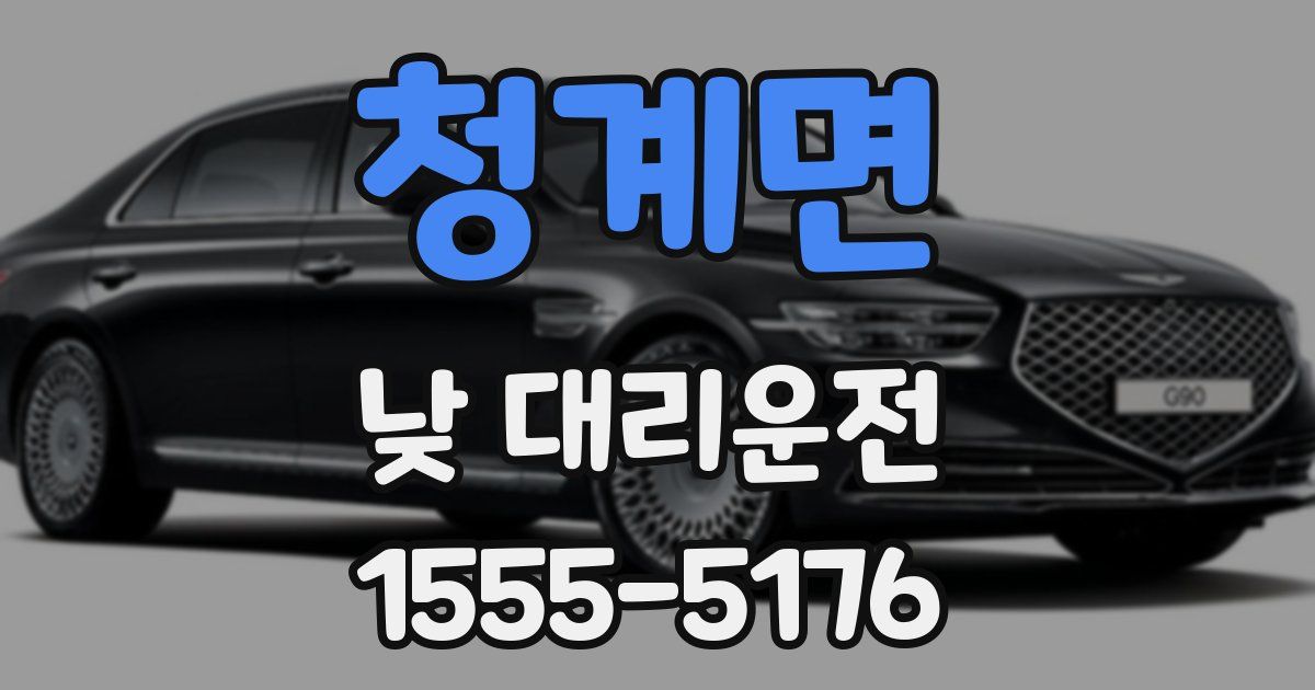청계면 낮 대리운전