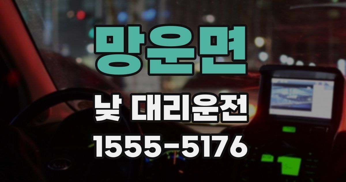 망운면 낮 대리운전