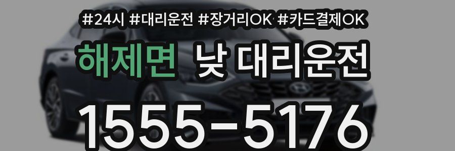 해제면 낮 대리운전