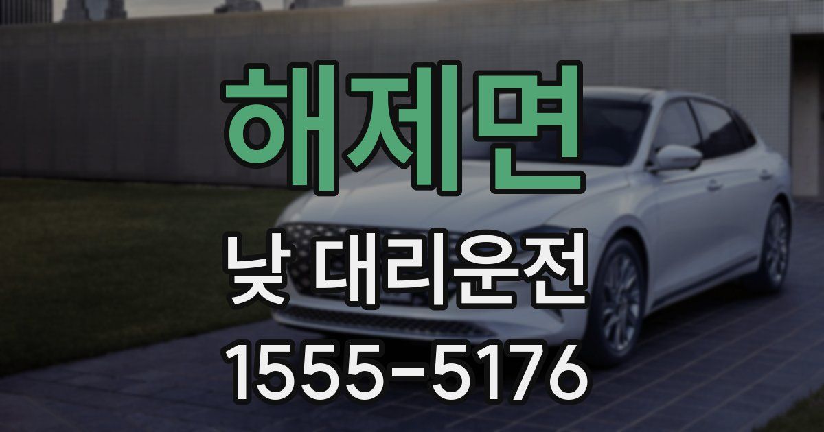 해제면 낮 대리운전