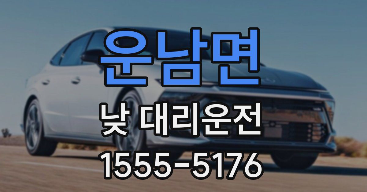 운남면 낮 대리운전