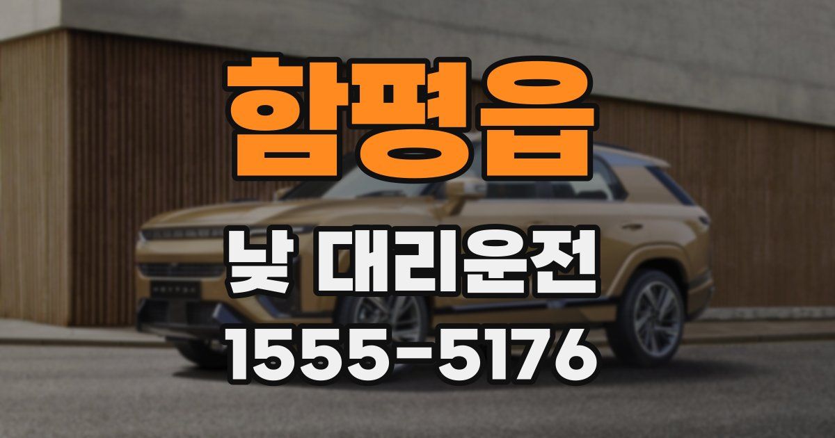 함평읍 낮 대리운전