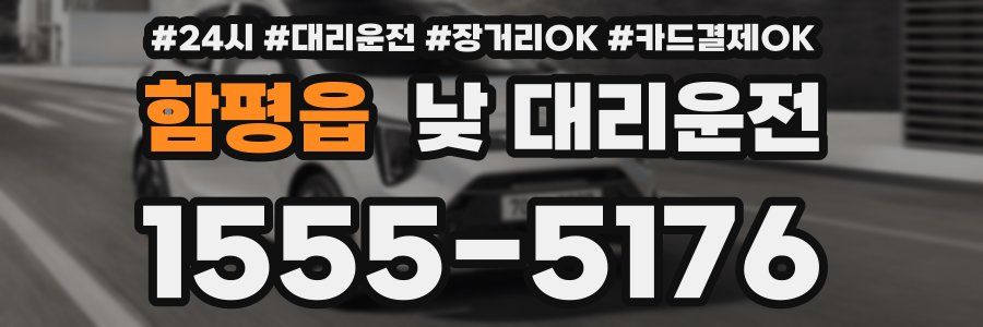 함평읍 낮 대리운전