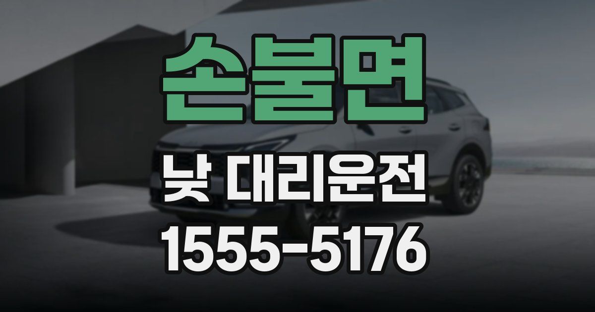 손불면 낮 대리운전