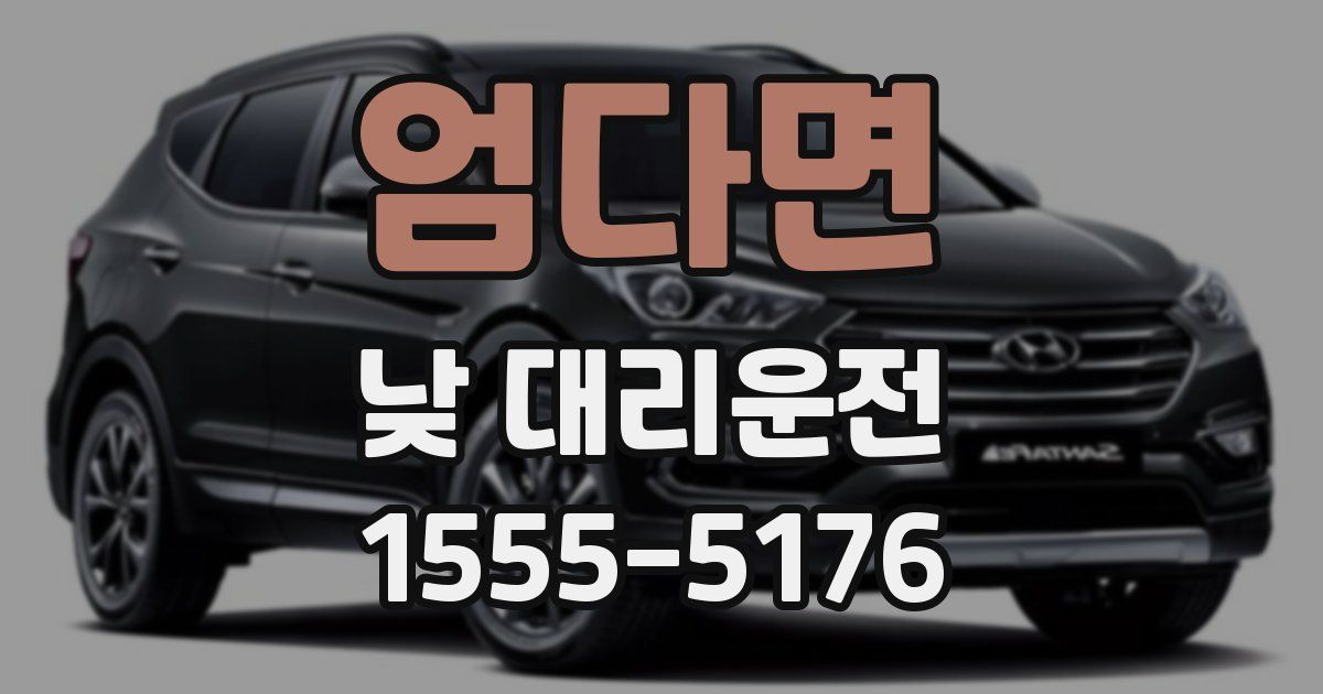 엄다면 낮 대리운전