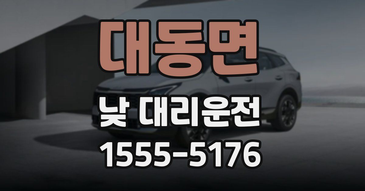 대동면 낮 대리운전
