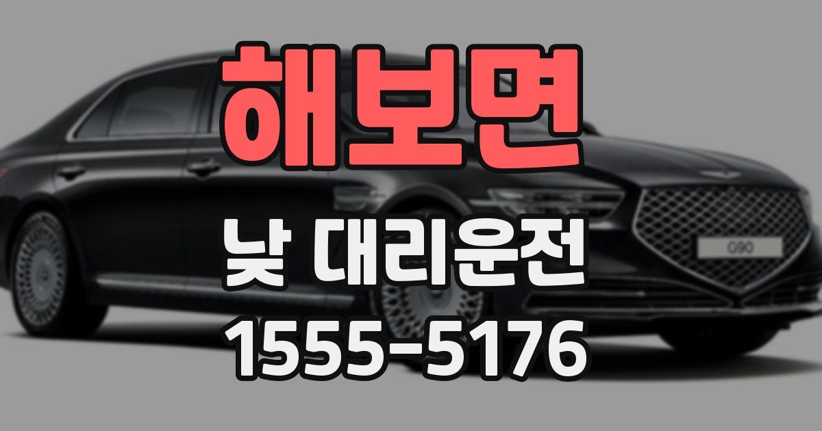 해보면 낮 대리운전